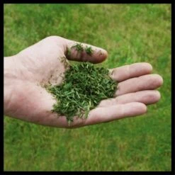 Einhell Power X-Change Akku-Rasenmäher GE-CM 36/48 Li M-Solo 8 Einhell Power X-Change Akku-Rasenmäher GE-CM 36/48 Li M-Solo -Gardena Verkäufe 4006825660654 2171 07 1